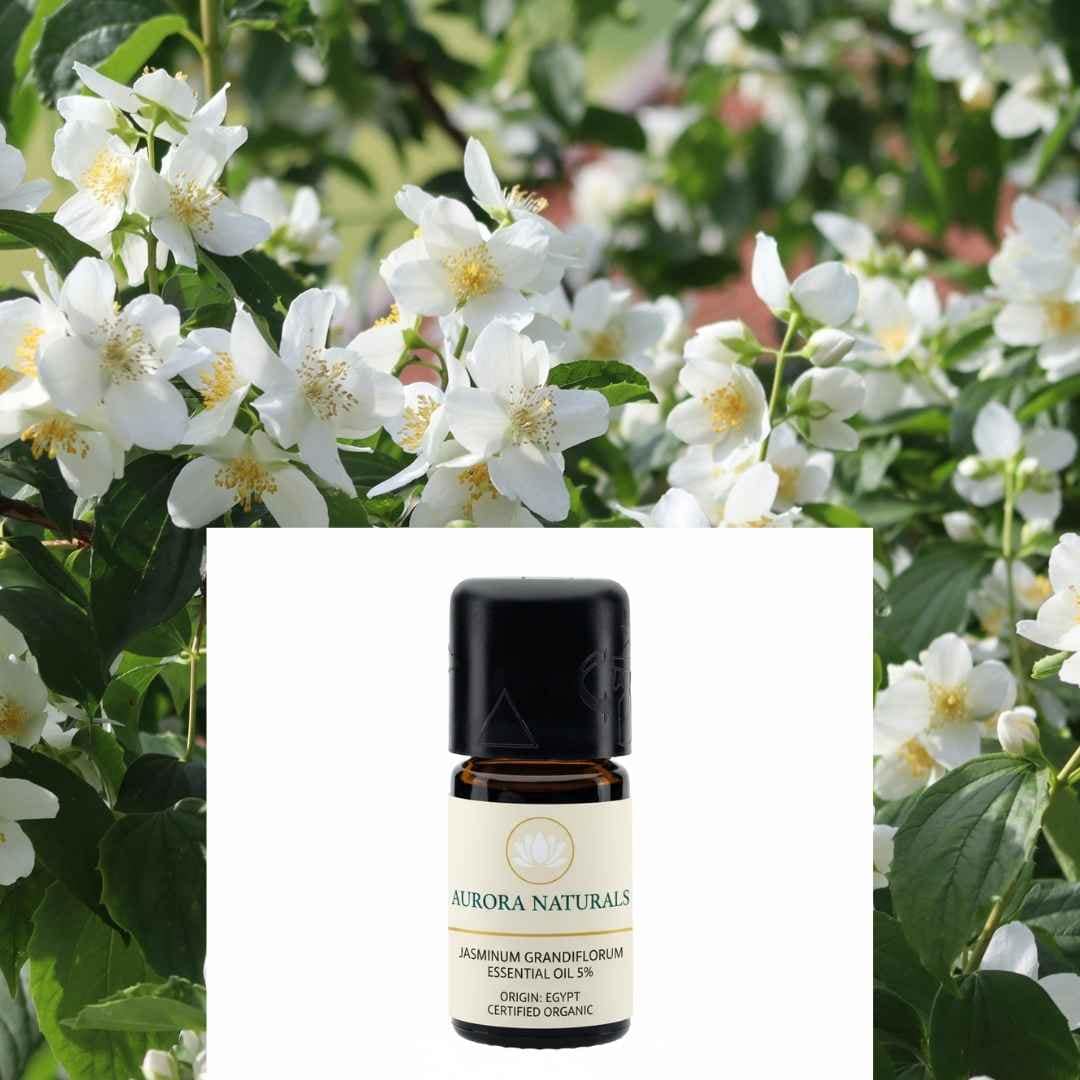 Jasminöl - Ätherisches Öl