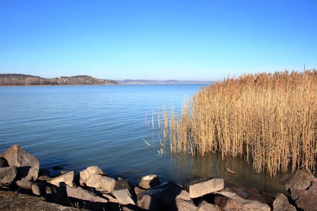 Heilmeditationen Natur